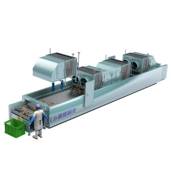 Small Iqf Tunnel Freezer best