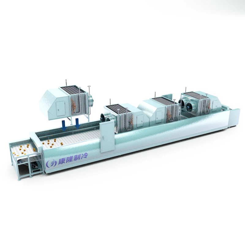 Μικρός καταψύκτης IQF Tunnel